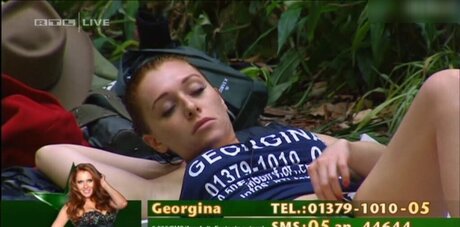 Ich Bin Ein Star  Holt Mich Hier Raus