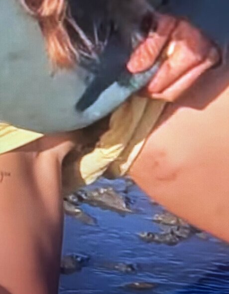 Sailing The Far Side