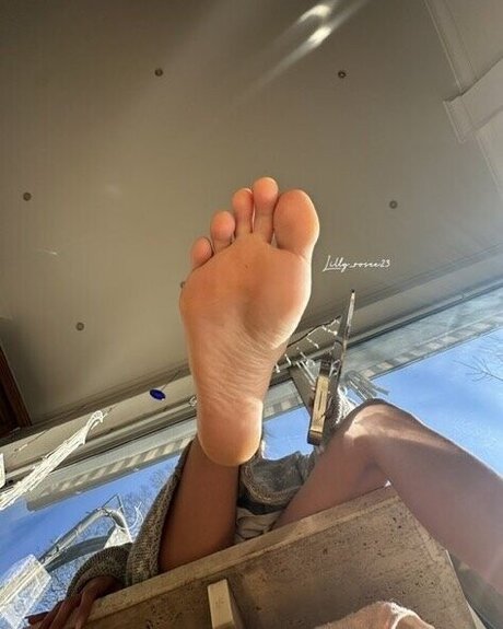 Lillyrosee23