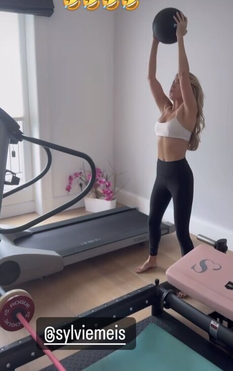 Sylvie Meis