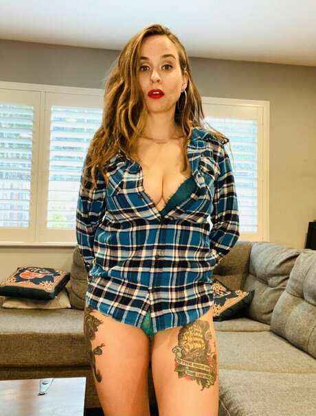 BellaSuede