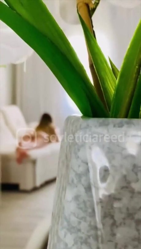 Foto di nudo di fuga di OnlyFans di Leticia Reed