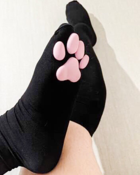 Mx Persia Paws
