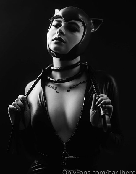 Harlihero