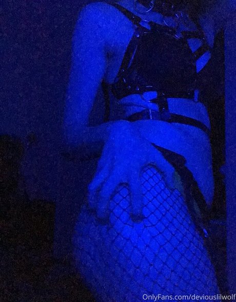 Deviouslilwolf