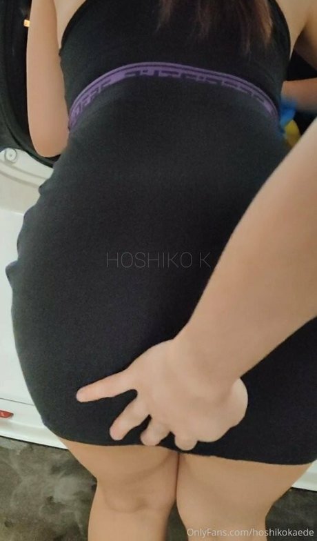 Hoshi-k