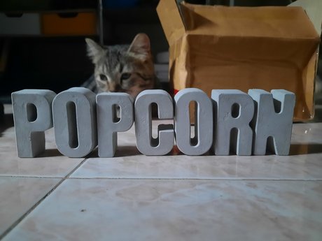 Foto di nudo di fuga di OnlyFans di Popcorn 