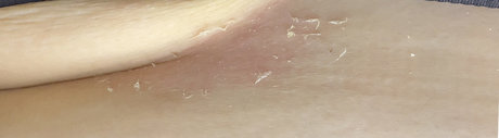 Pickypriscilla