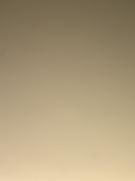 Foto di nudo di fuga di OnlyFans di Puppy