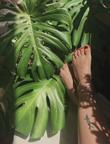 Foto di nudo di fuga di OnlyFans di Profeeterole