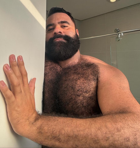 Bearwoofbr