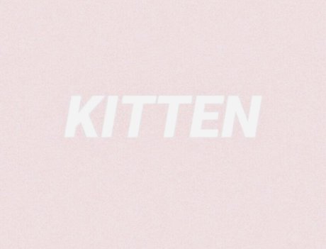 Foto di nudo di fuga di OnlyFans di Kitten