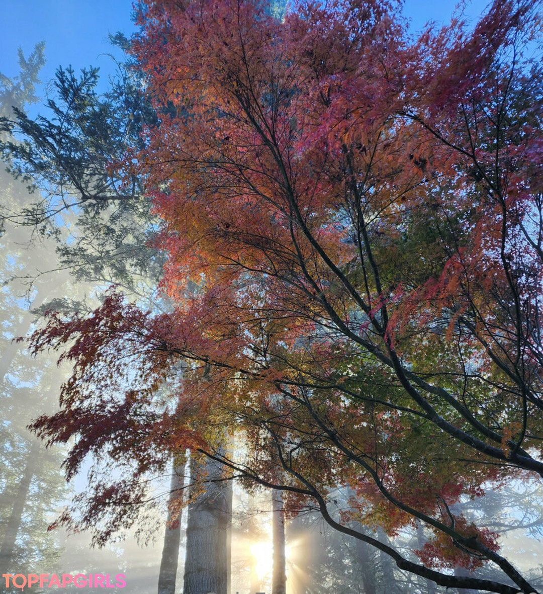 Foto di nudo di fuga di OnlyFans di Xevbellringer69 #163 Foto di nudo di fuga di OnlyFans di Xevbellringer69 #163