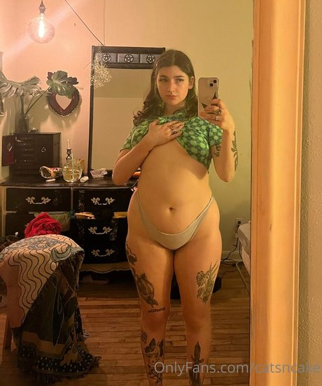Foto di nudo di fuga di OnlyFans di Catsncake