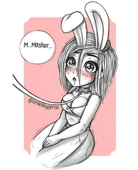 Bunny