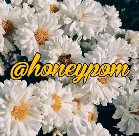 Honey