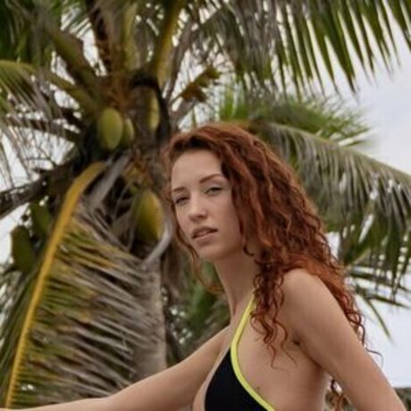 Gingery.shoot