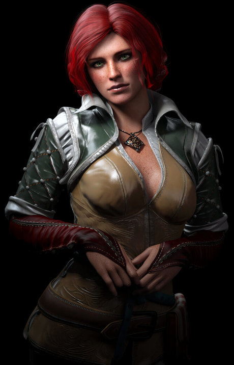 The Witcher