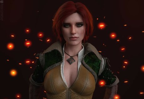 The Witcher