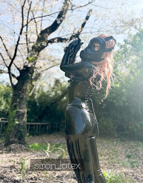 Siron_latex