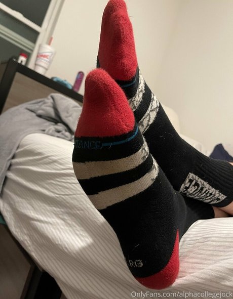 Alphacollegejock