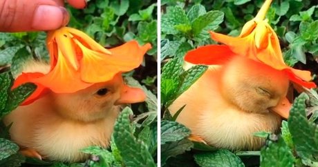 Foto di nudo di fuga di OnlyFans di Momma