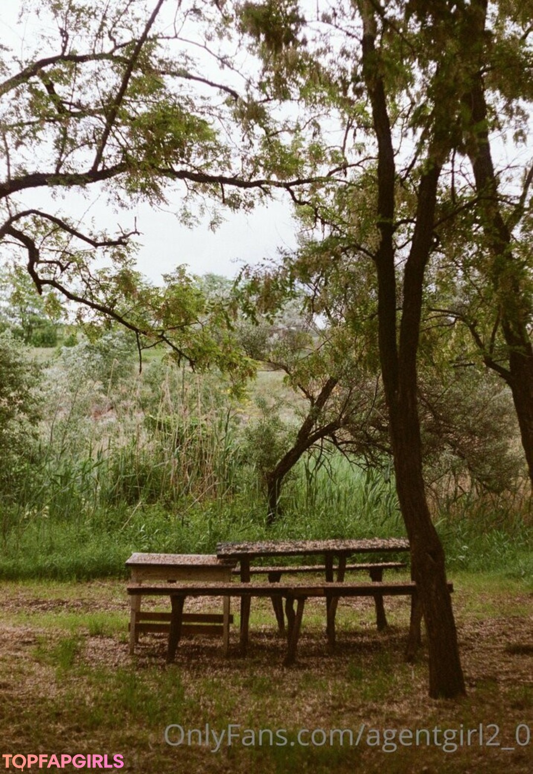 Foto di nudo di fuga di OnlyFans di Agentgirl20 #47 Foto di nudo di fuga di OnlyFans di Agentgirl20 #47