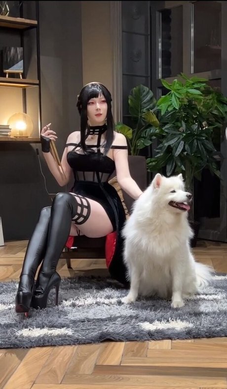 Visagefox