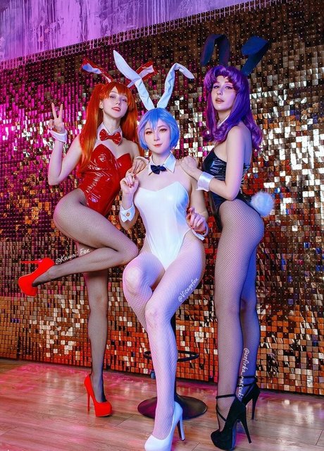 Visagefox