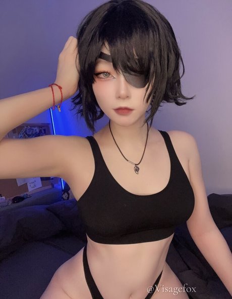 Visagefox