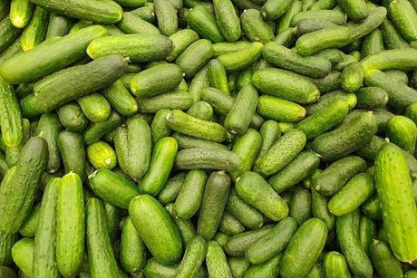 Onlypickles
