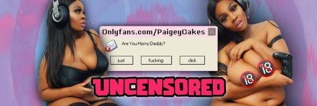 Paigey Cakes