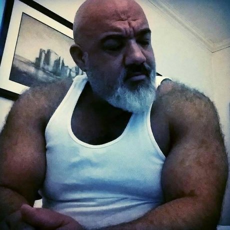 Daddy Bear 69