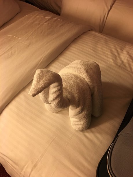 Foto di nudo di fuga di OnlyFans di Phonyheart