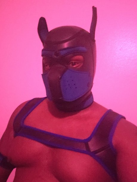 Foto di nudo di fuga di OnlyFans di Shadow Pup