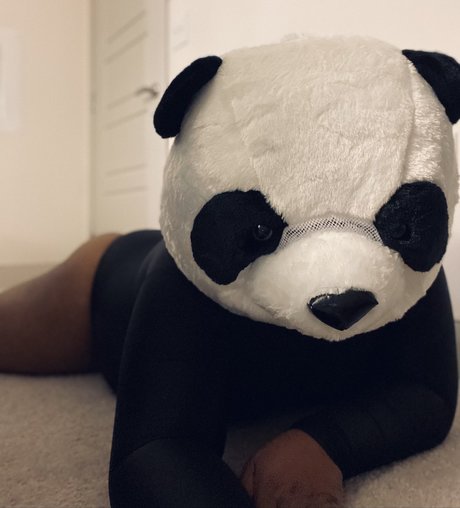 Foto di nudo di fuga di OnlyFans di Playbear