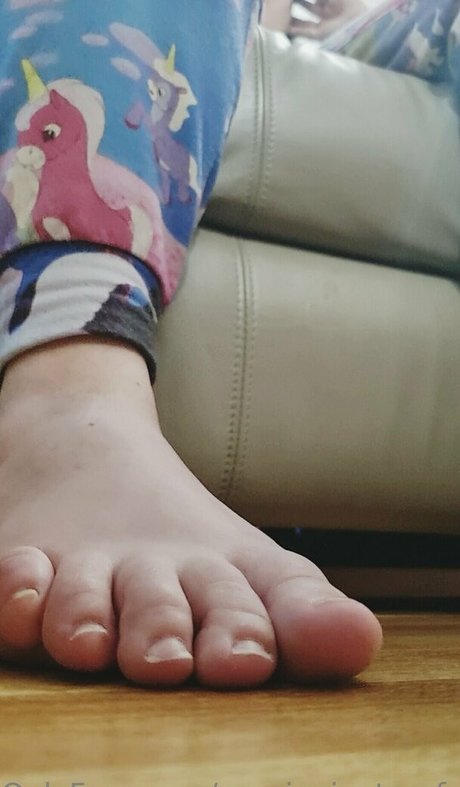 Aussiegiantessfree