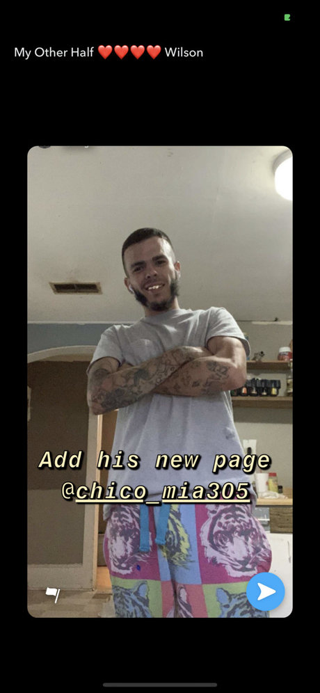 Chicostickya305