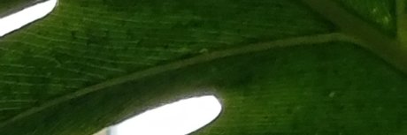 Foto di nudo di fuga di OnlyFans di Quantumorgasms