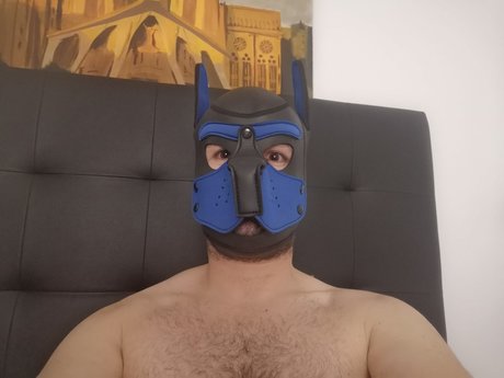Puppy