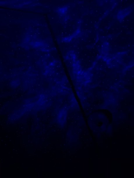 Ravehoe13