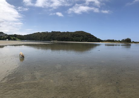 Foto di nudo di fuga di OnlyFans di Reece Lowe