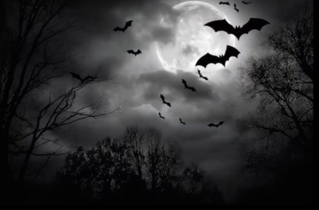 Salem