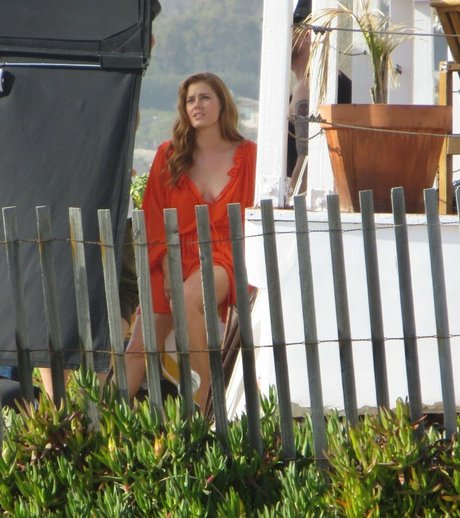 Amy Adams