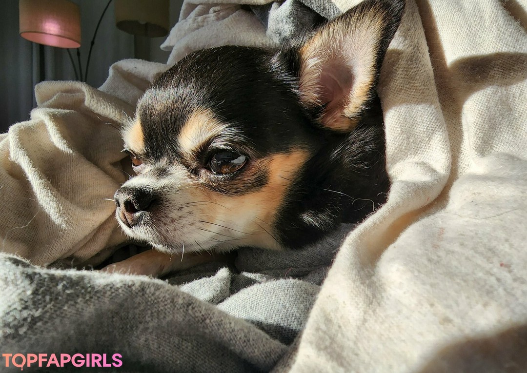 Foto di nudo di fuga di OnlyFans di Missbella #171 Foto di nudo di fuga di OnlyFans di Missbella #171