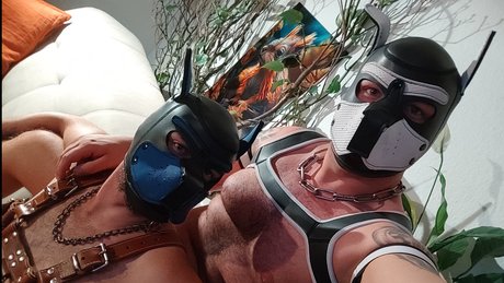 Foto di nudo di fuga di OnlyFans di True Bare Bears