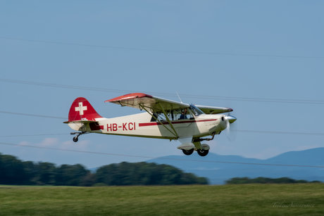 Benjamin B  Tridenspicturae