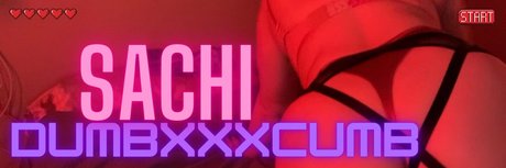 Sachi Dumb Cxmb