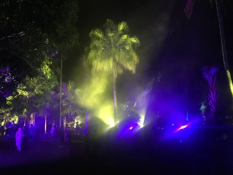 The Official Gay Guy