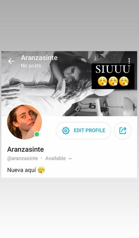 Aranzasinte